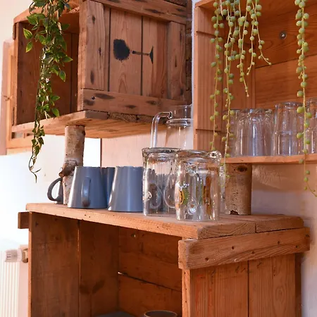 Soon - Fun קולמר