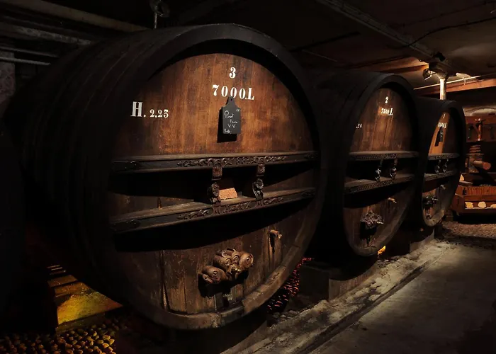 Soon - Fun * 科尔马