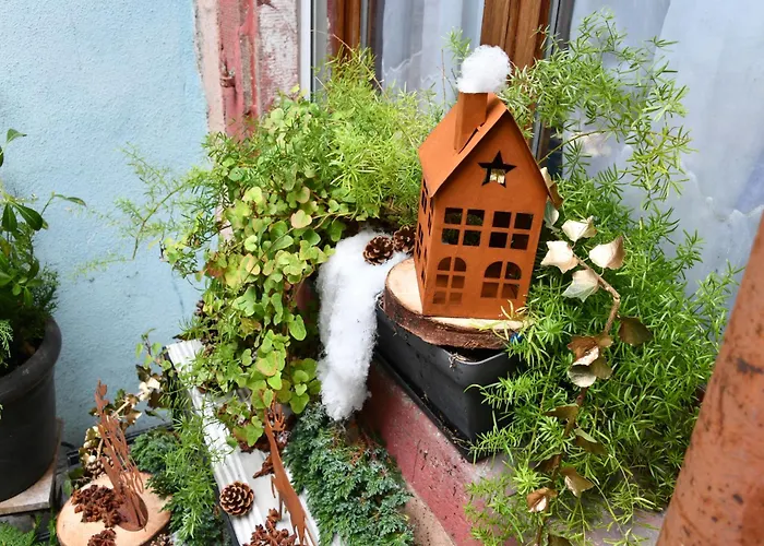 Apartman Soon - Fun *